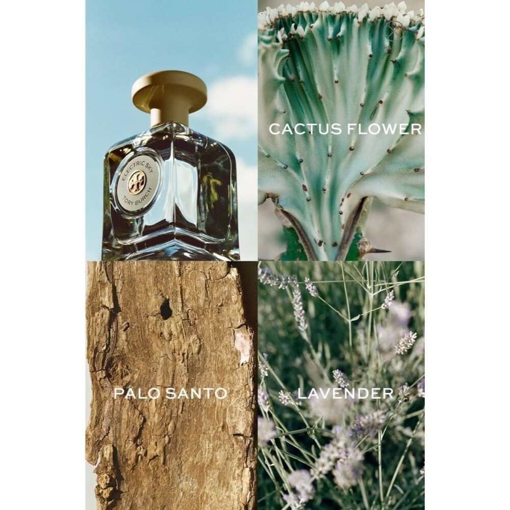 NWB TORY BURCH Essence Of Dreams Perfume Sample Set - 5 fragrances - Picture 9 of 10